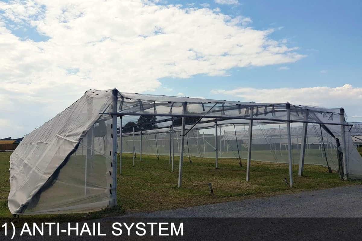 test fields