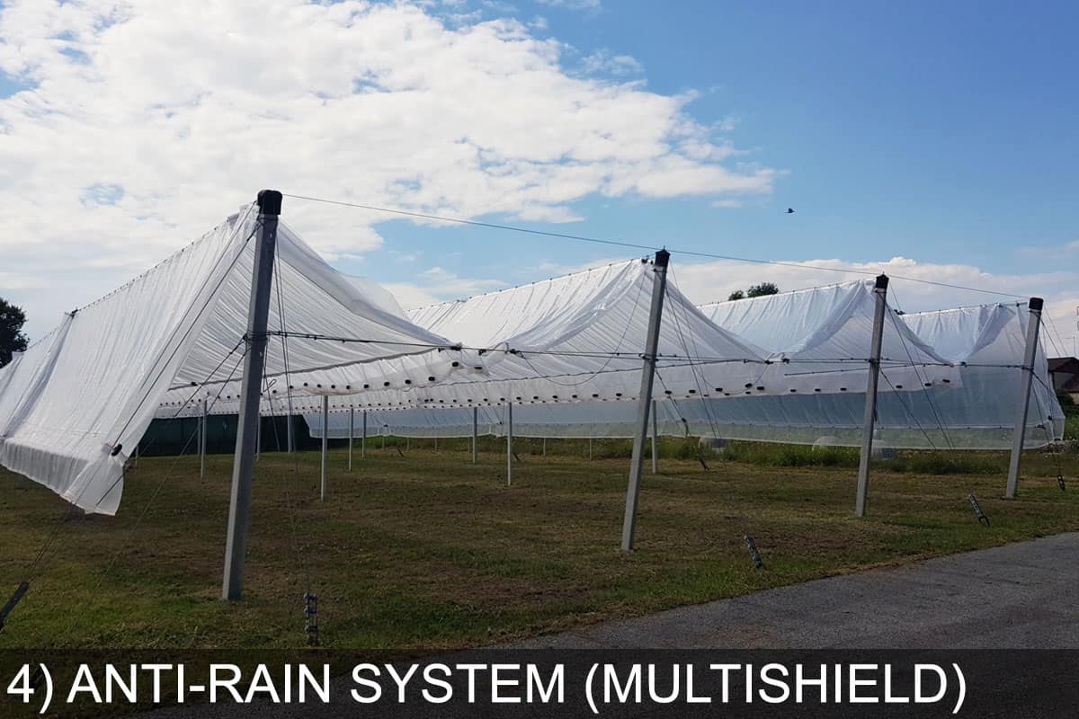 test fields