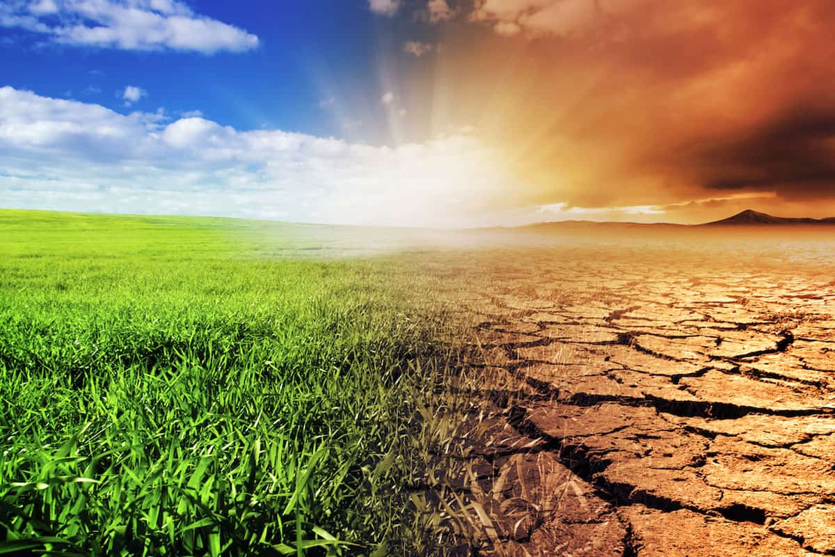 global warming