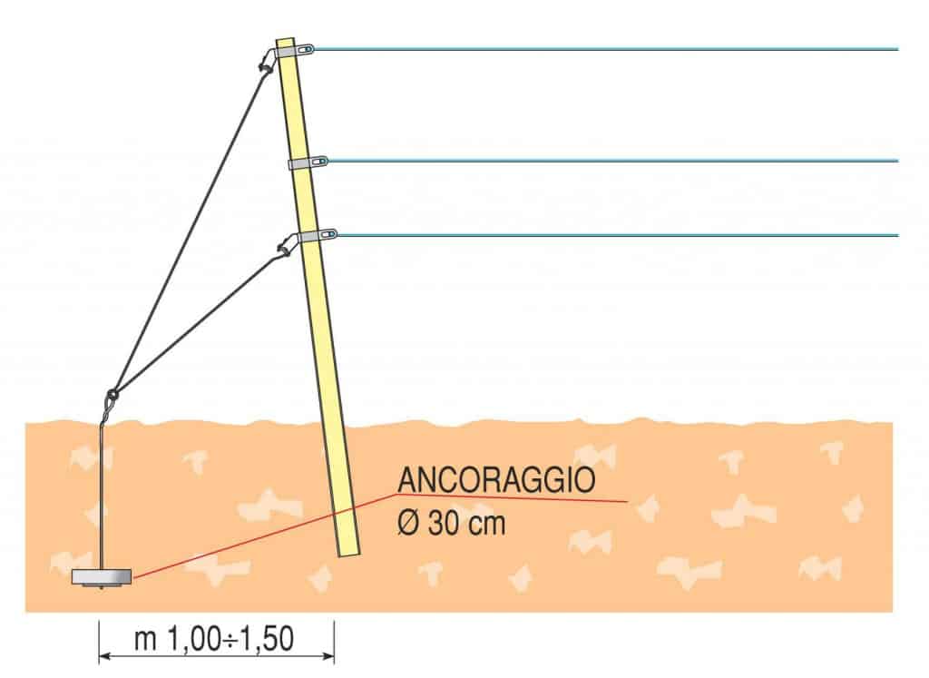 articolo6